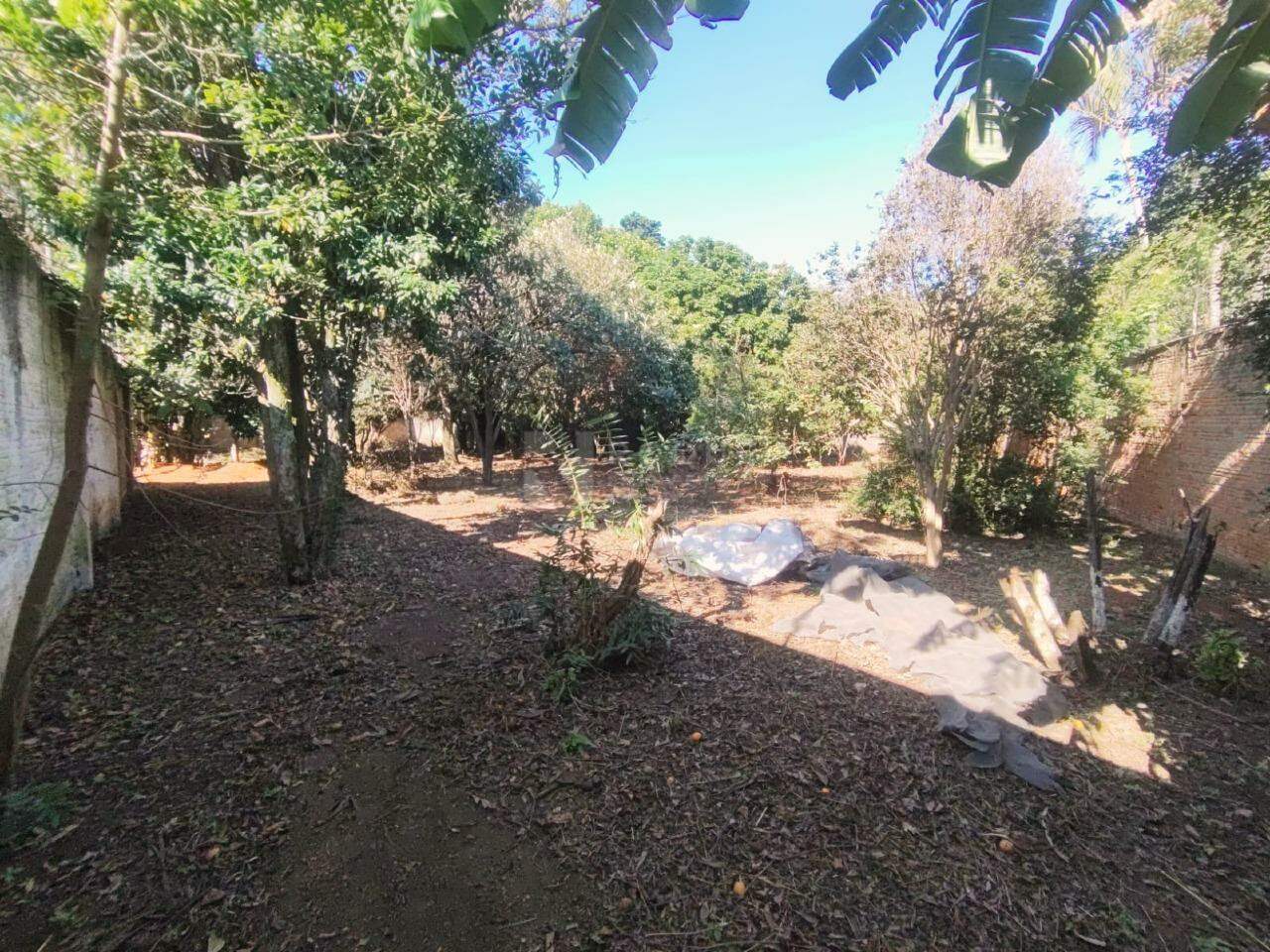 Chácara para aluguel no bairro Jardim Florença: Quintal