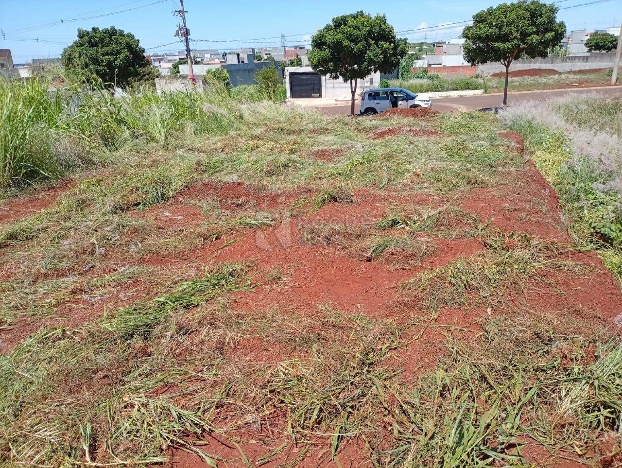 Terreno à venda no bairro Residencial Colinas do Engenho I: 