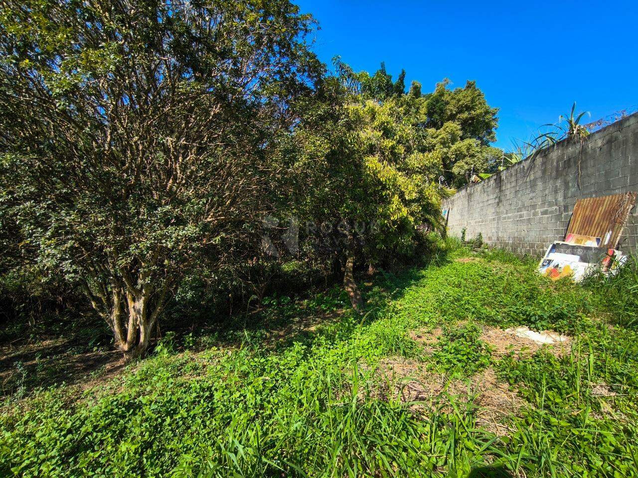 Chácara à venda no bairro Bairro dos Pires de Baixo: