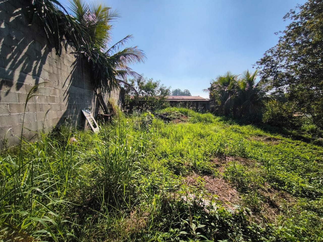 Chácara à venda no bairro Bairro dos Pires de Baixo: