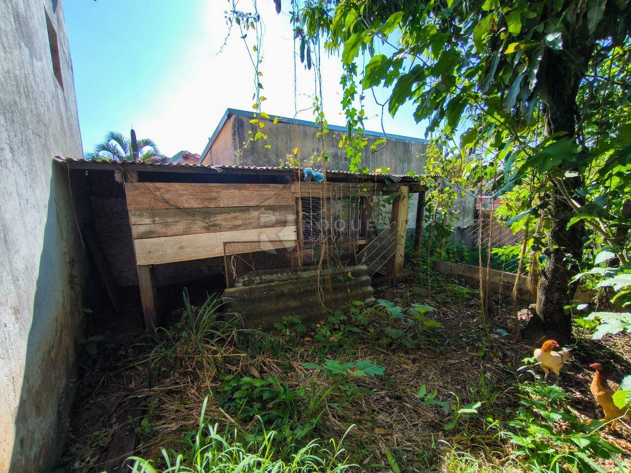 Chácara à venda no bairro Bairro dos Pires de Baixo: