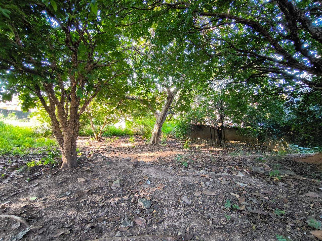 Terreno em condomínio à venda no bairro Jardim Florença: 