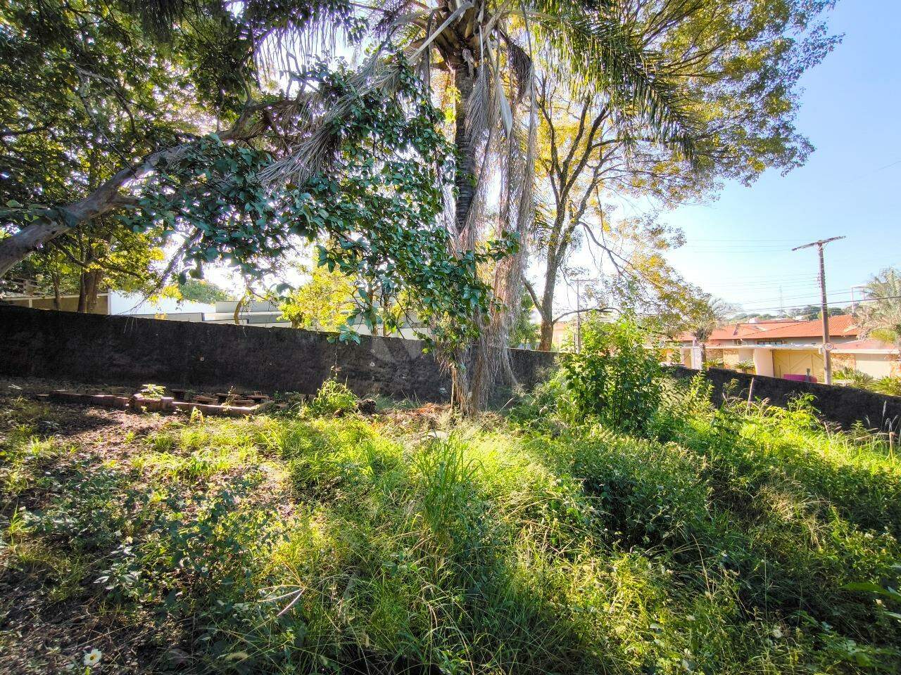 Terreno em condomínio à venda no bairro Jardim Florença: 
