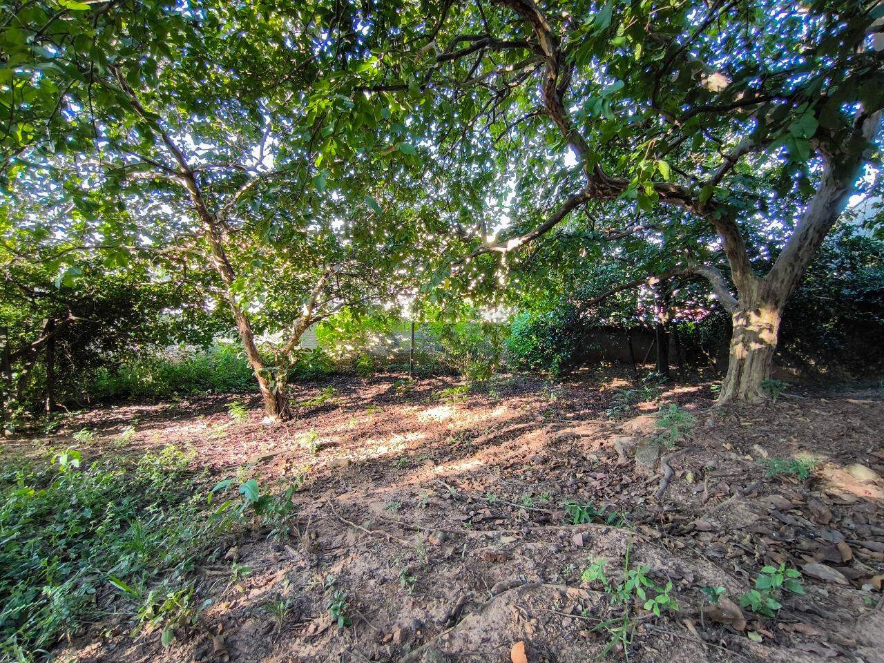 Terreno em condomínio à venda no bairro Jardim Florença: 