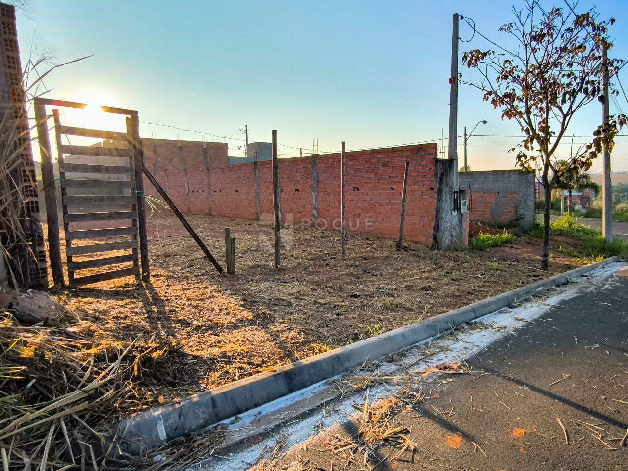 Terreno à venda no bairro Jardim Marajoara: 