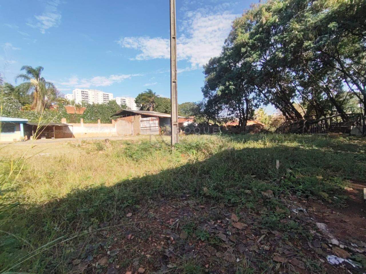 Terreno Comercial para aluguel no bairro Jardim do Lago: Quintal