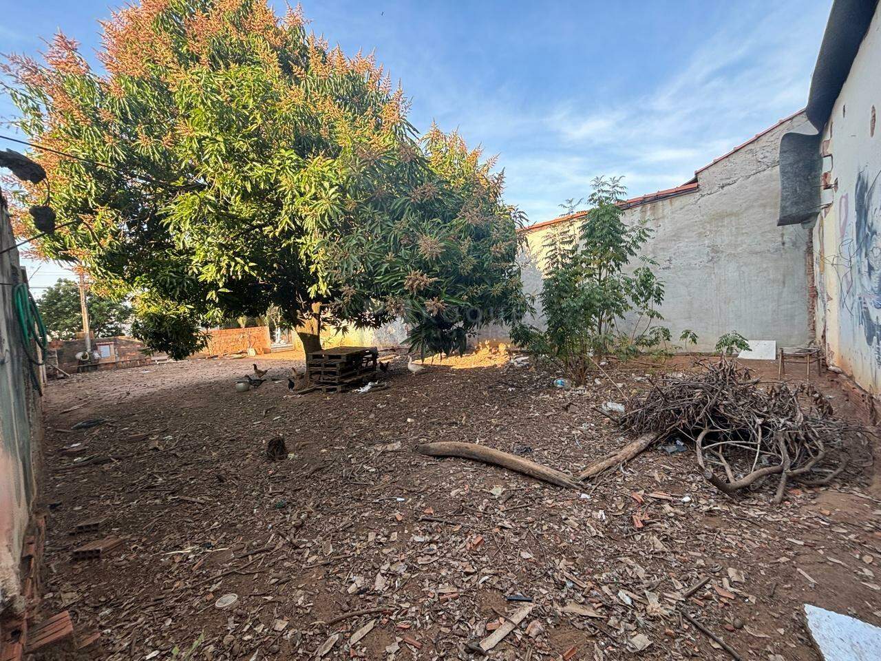 Terreno para aluguel no bairro Jardim Santo André: 