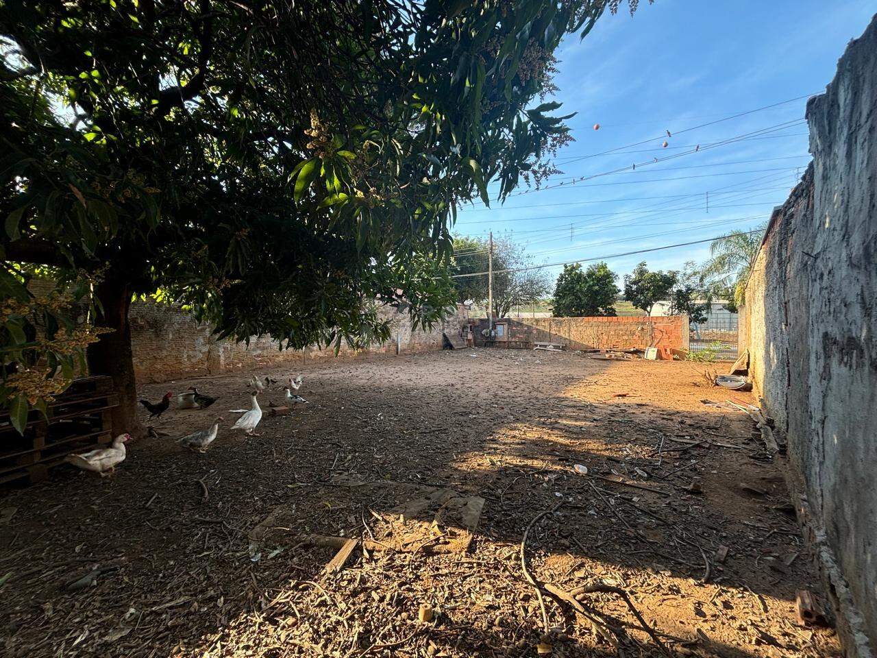 Terreno para aluguel no bairro Jardim Santo André: 