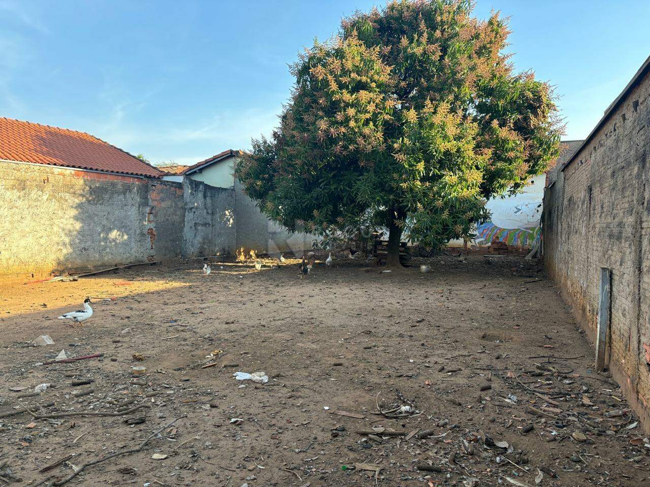Terreno para aluguel no bairro Jardim Santo André: 