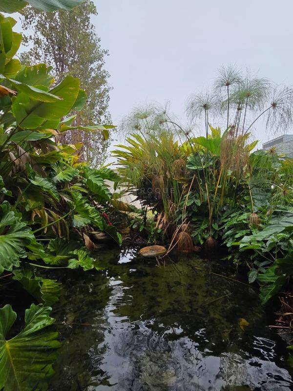Casa em condomínio à venda no bairro Residencial Ilha de Bali: Lago