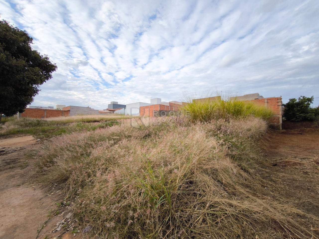 Terreno à venda no bairro Residencial Colinas do Engenho I: 