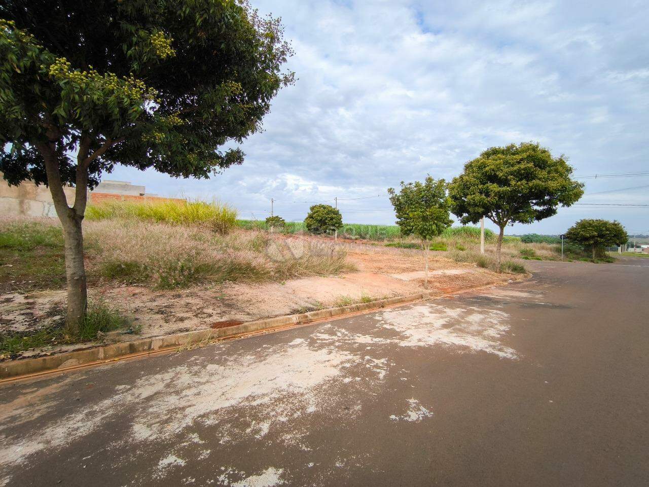 Terreno à venda no bairro Residencial Colinas do Engenho I: 