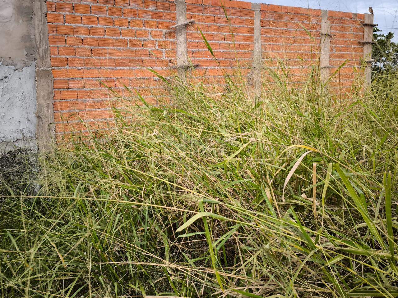 Terreno à venda no bairro Residencial Colinas do Engenho I: 