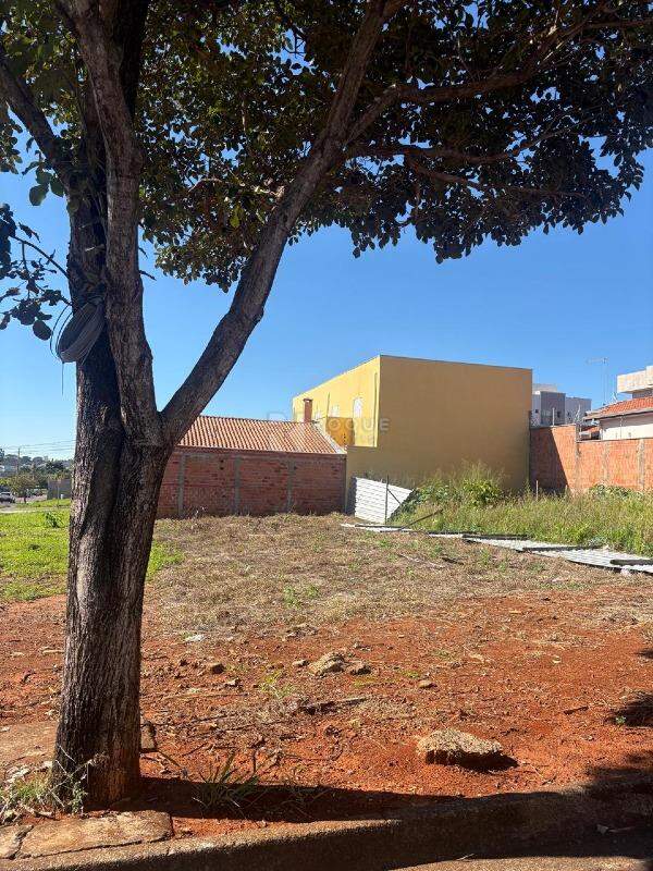 Terreno à venda no bairro Jardim Cidade Universitária I: 