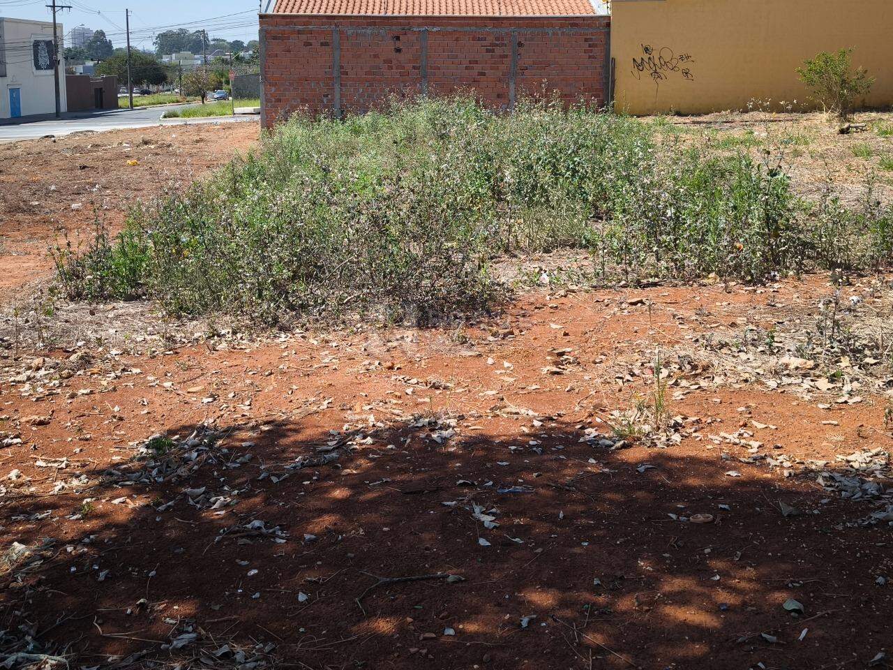 Terreno à venda no bairro Jardim Cidade Universitária I: