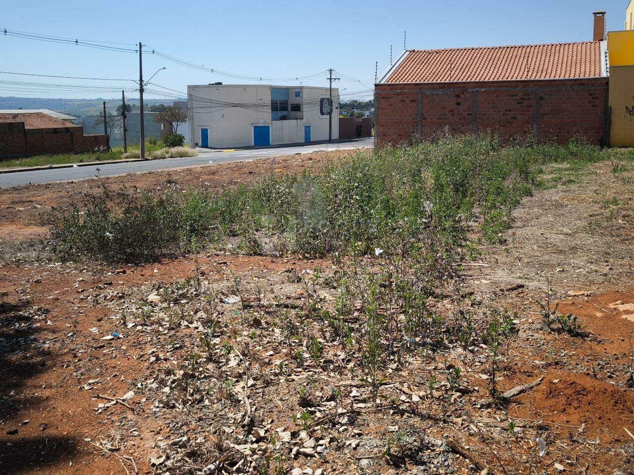 Terreno à venda no bairro Jardim Cidade Universitária I: