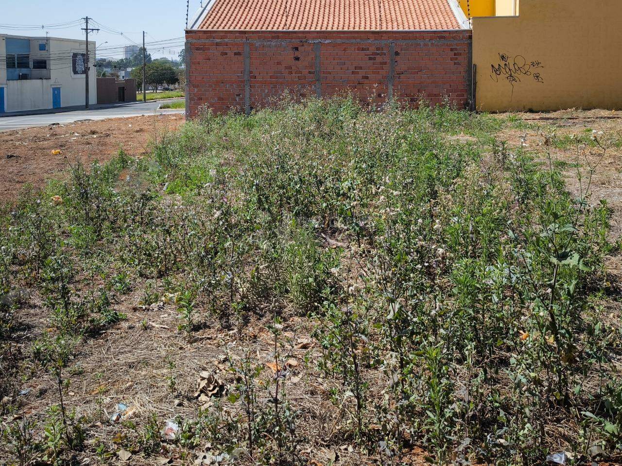 Terreno à venda no bairro Jardim Cidade Universitária I: 