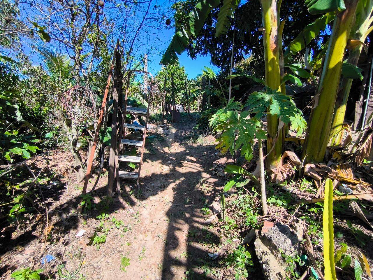 Chácara à venda no bairro Pires de Baixo: ÁREA VERDE