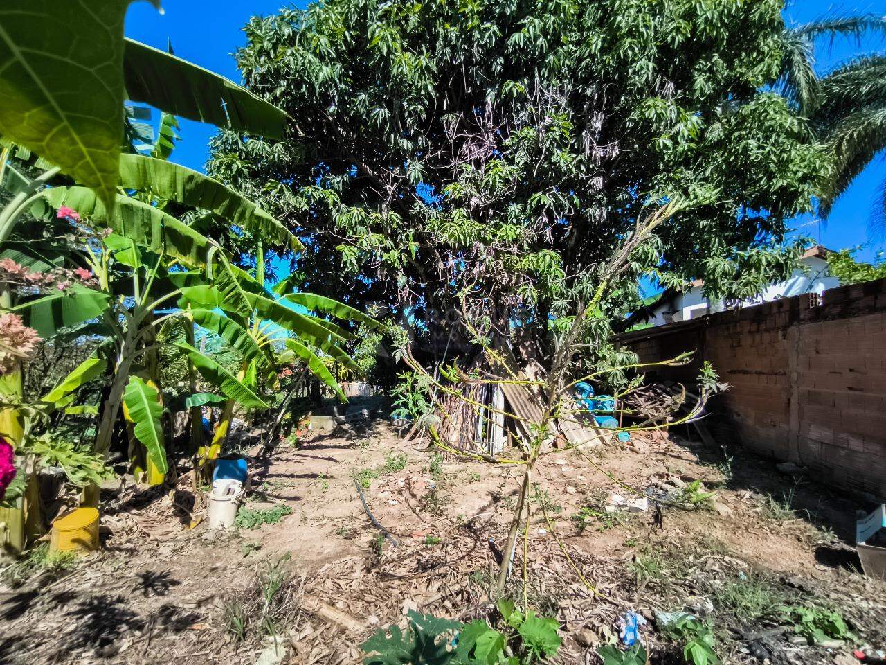 Chácara à venda no bairro Pires de Baixo: ÁREA VERDE