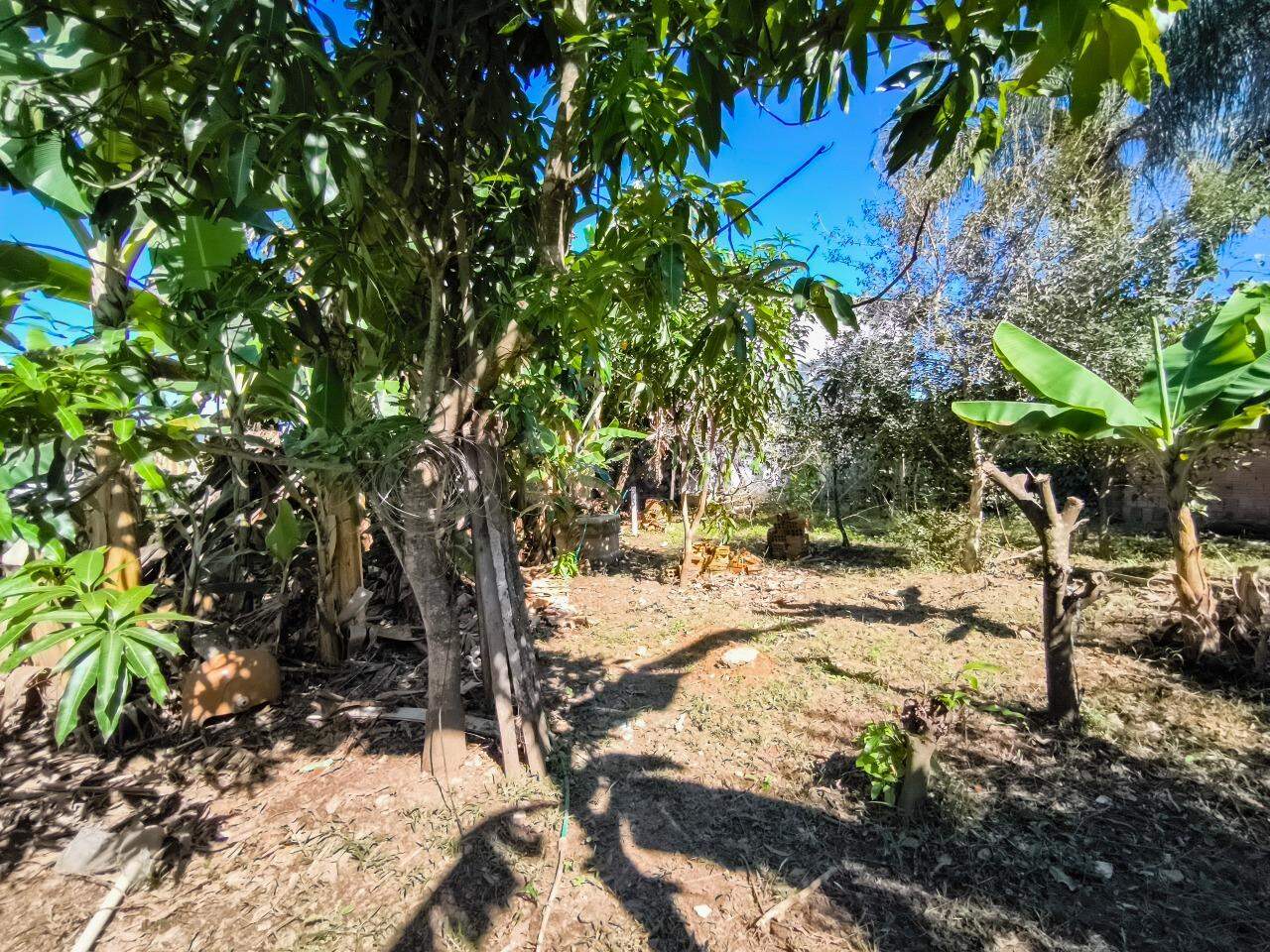Chácara à venda no bairro Pires de Baixo: ÁREA VERDE