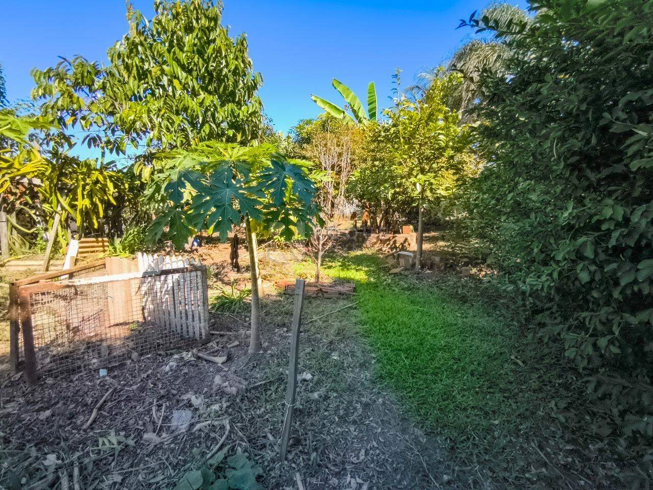 Chácara à venda no bairro Pires de Baixo: ÁREA VERDE
