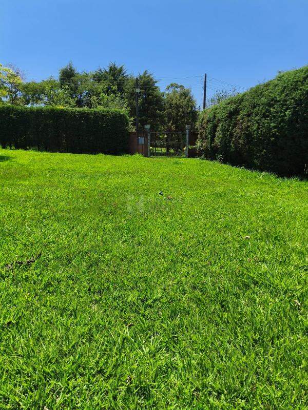 Terreno à venda no bairro Pereiras: