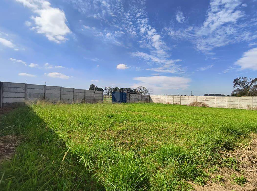 Barracão/Galpão para aluguel no bairro Cha Granja Planalto Rural: Fundos 