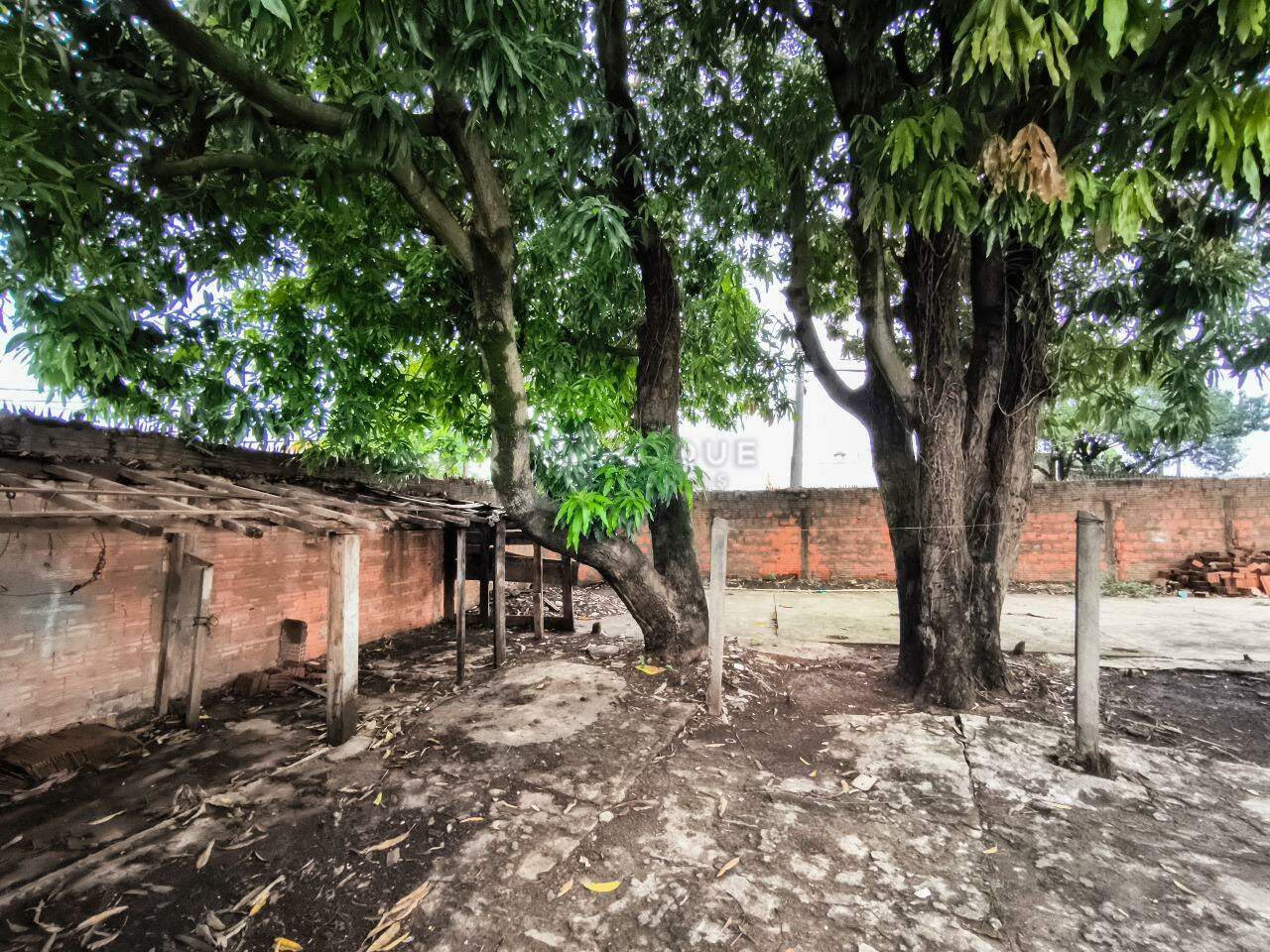Casa Residencial à venda no bairro Jardim Nossa Senhora do Amparo: QUINTAL