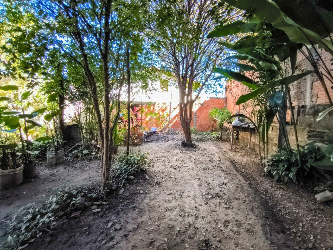Casa Residencial à venda no bairro Parque Hippolyto: QUINTAL
