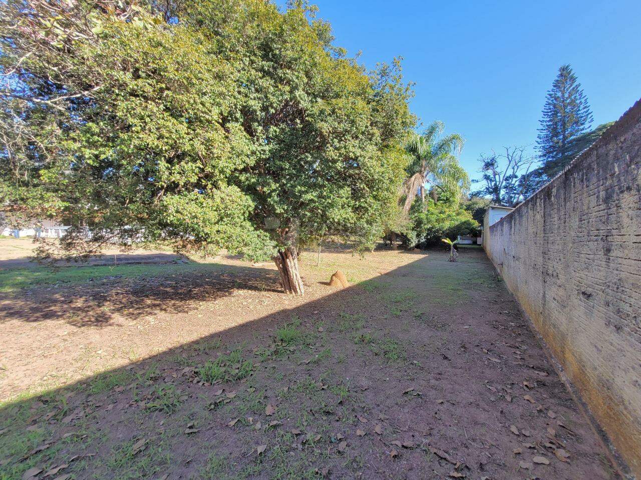 Chácara à venda no bairro Bairro dos Pires: Área livre