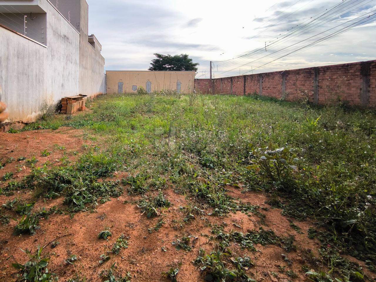 Terreno à venda no bairro Jardim Caieira: 