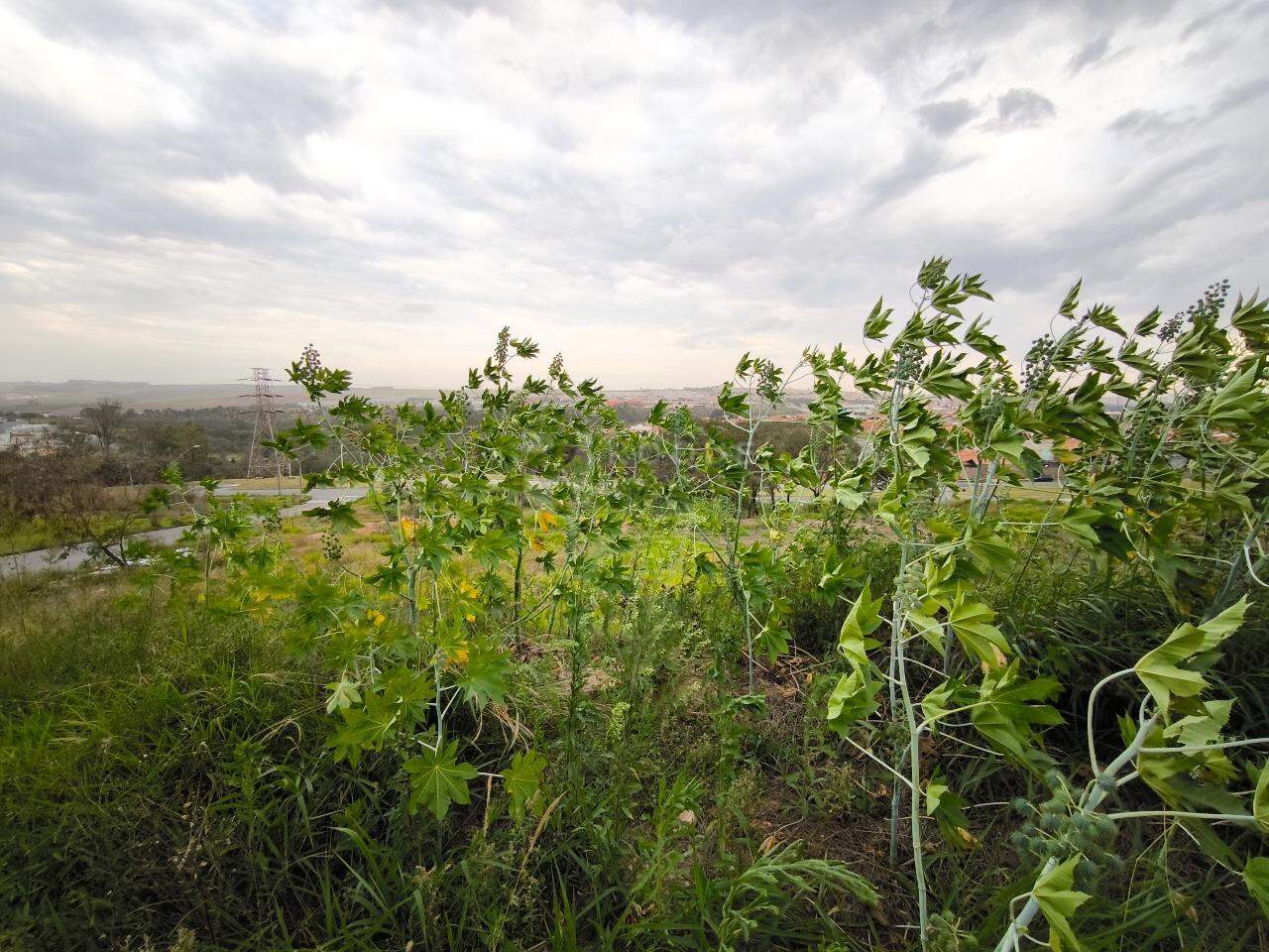Terreno à venda no bairro Jardim Residencial e Comercial Alto dos Laranjais: