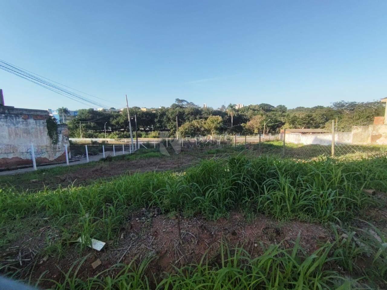 Terreno à venda no bairro Cidade Jardim: Terreno