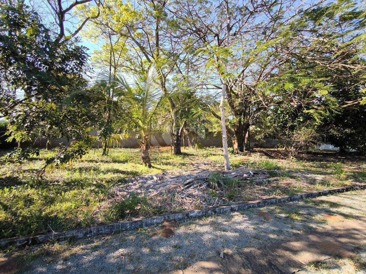 Chácara à venda no bairro Park Green Ville: ÁREA VERDE