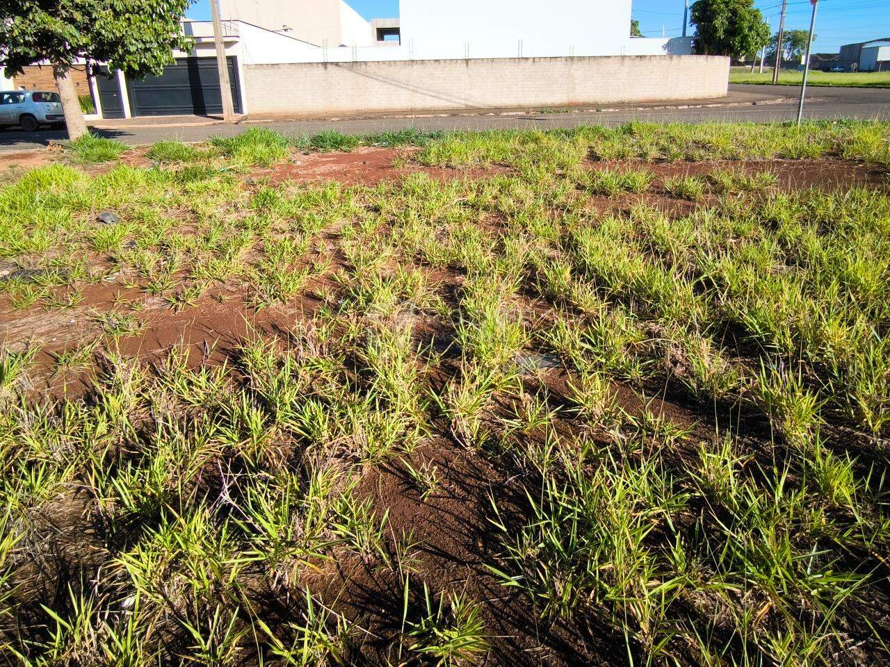 Terreno à venda no bairro Jardim Residencial Paraty:
