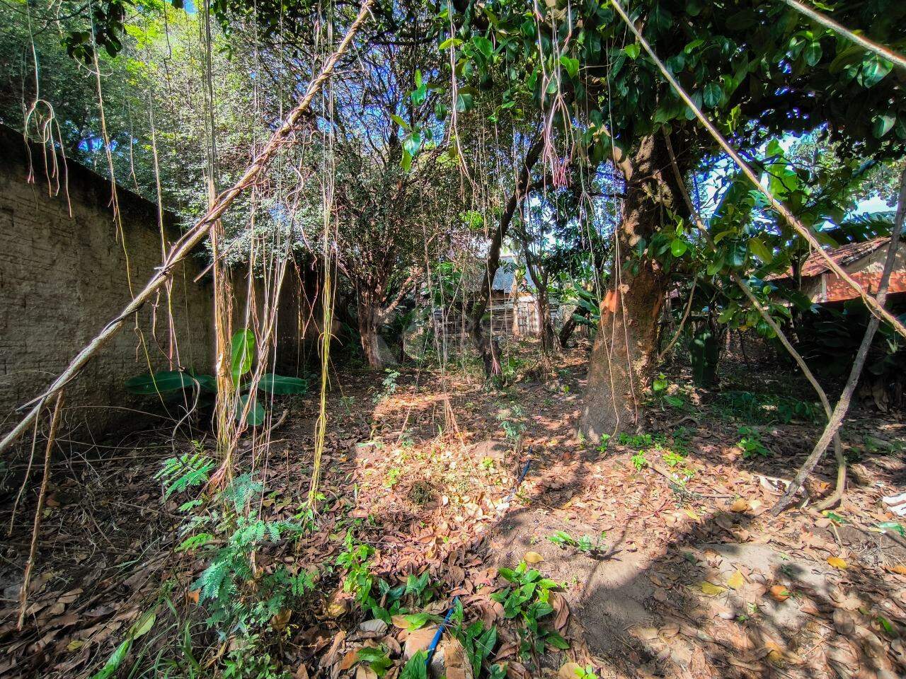 Casa Residencial à venda no bairro Jardim Bandeirantes: QUINTAL