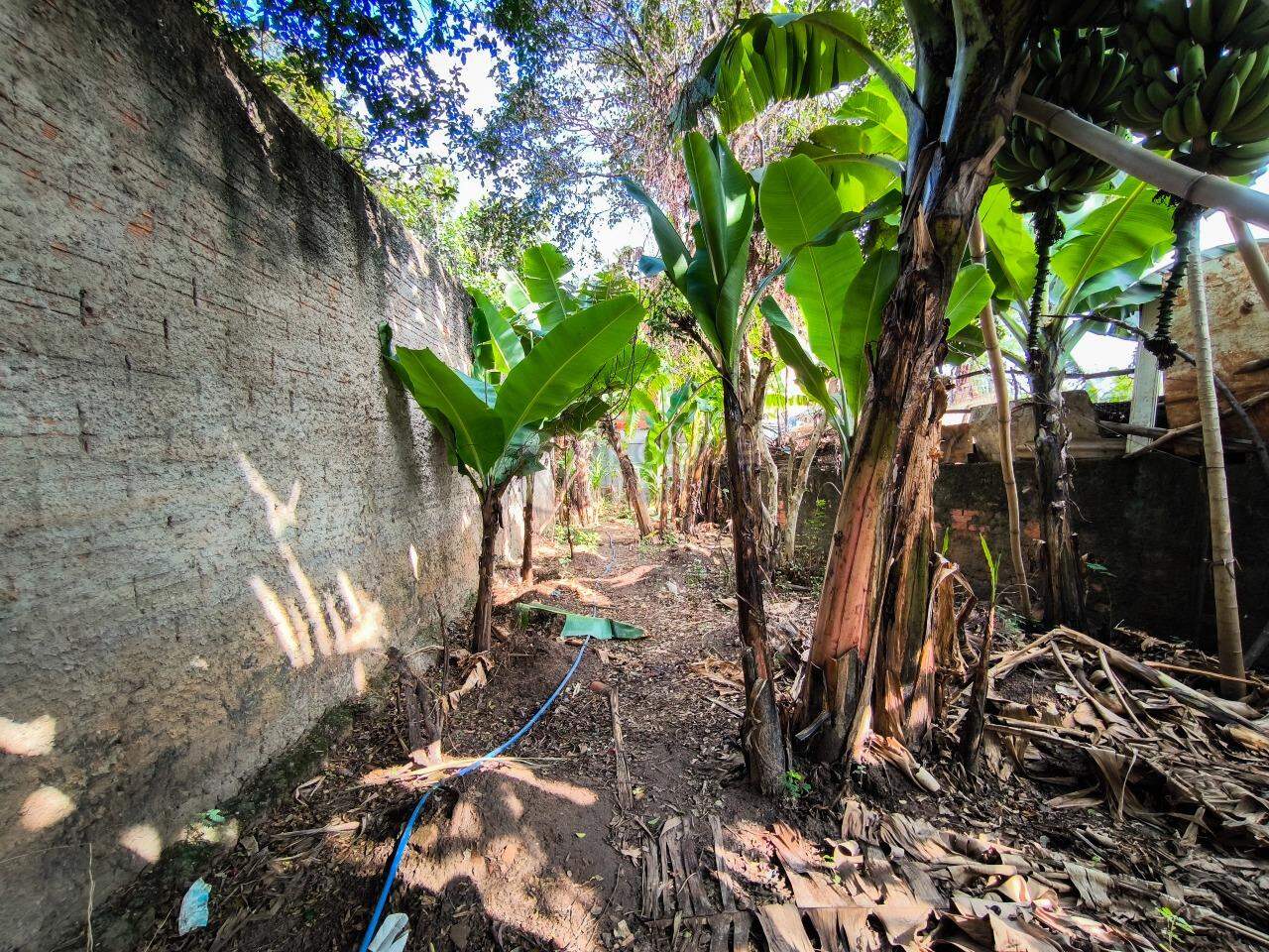 Casa Residencial à venda no bairro Jardim Bandeirantes: QUINTAL