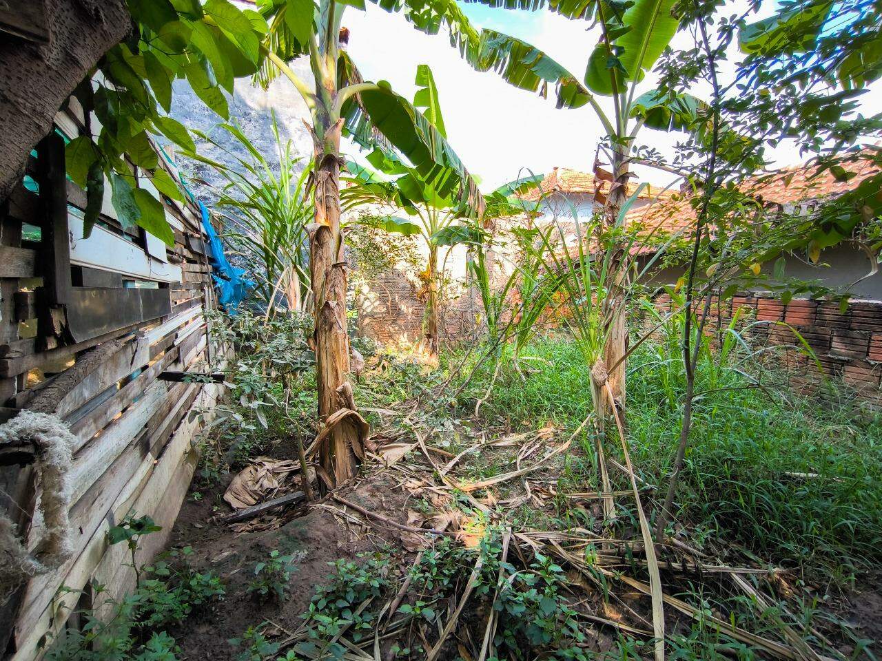 Casa Residencial à venda no bairro Jardim Bandeirantes: QUINTAL