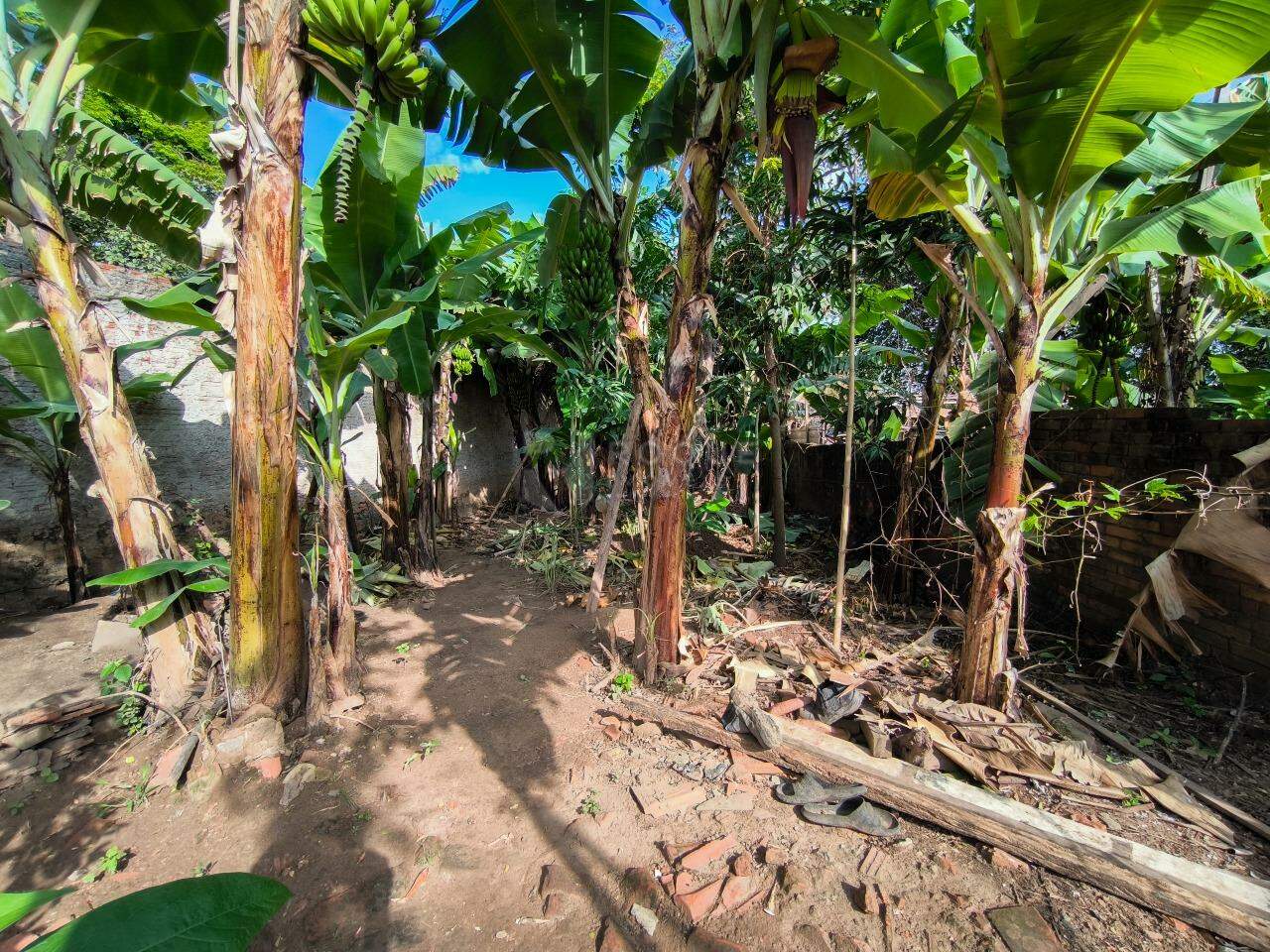 Casa Residencial à venda no bairro Jardim Bandeirantes: QUINTAL