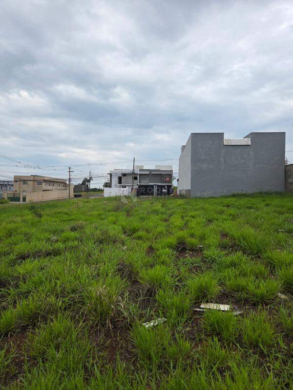 Terreno à venda no bairro Jardim Cidade Universitária I: Terreno