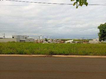 Terreno à venda no bairro Residencial Colinas do Engenho II: 