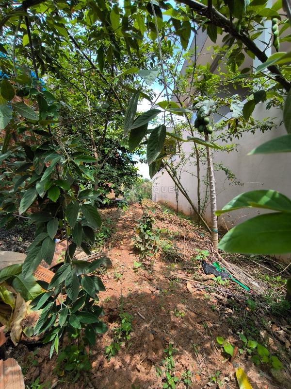 Terreno à venda no bairro Jardim dos Jequitibás: 
