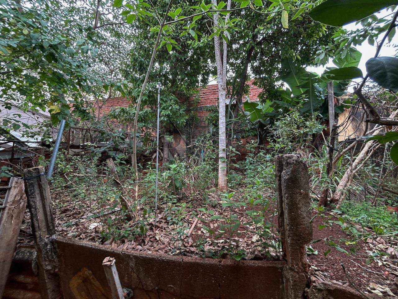 Casa Residencial para aluguel no bairro Jardim Piratininga: Fundo 