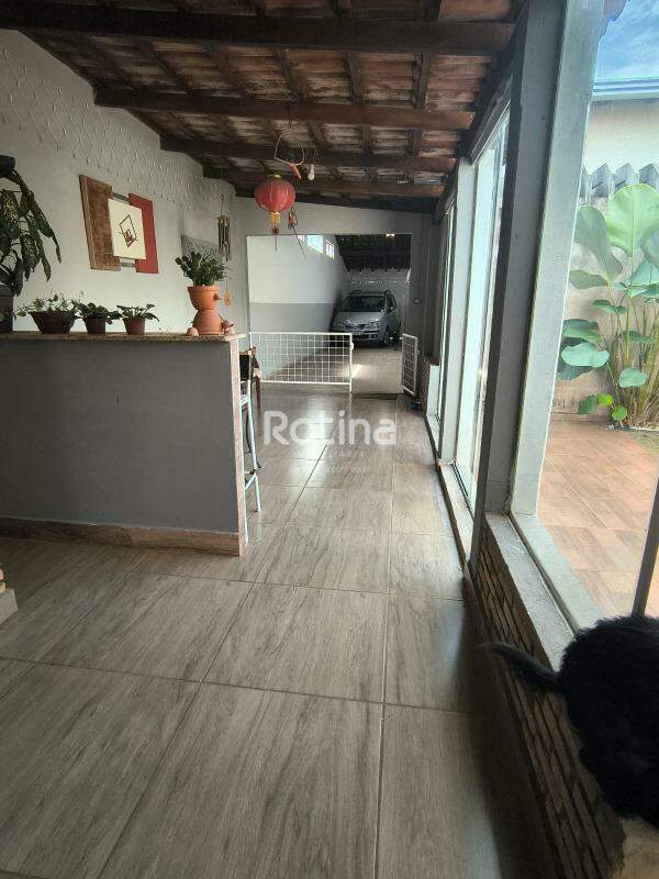 Casa à venda, 3 quartos em Uberlândia no bairro Jardim das Palmeiras no valor de R$ 520.000,00 - Rotina Imobiliária: 