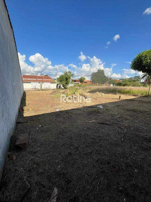 Terreno para alugar, em Uberlândia no bairro Aclimação no valor de R$ 1.200,00 - Rotina Imobiliária: 