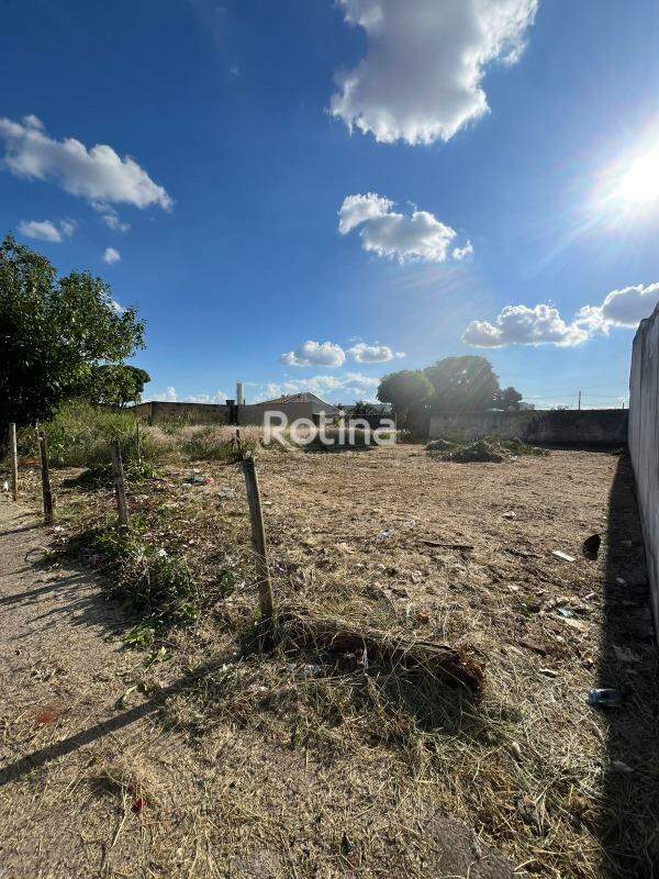 Terreno para alugar, em Uberlândia no bairro Aclimação no valor de R$ 1.200,00 - Rotina Imobiliária: 