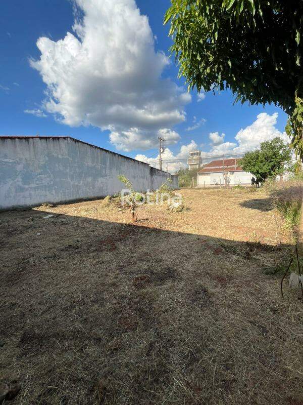 Terreno para alugar, em Uberlândia no bairro Aclimação no valor de R$ 1.200,00 - Rotina Imobiliária: 