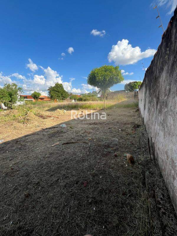 Terreno para alugar, em Uberlândia no bairro Aclimação no valor de R$ 1.200,00 - Rotina Imobiliária: 
