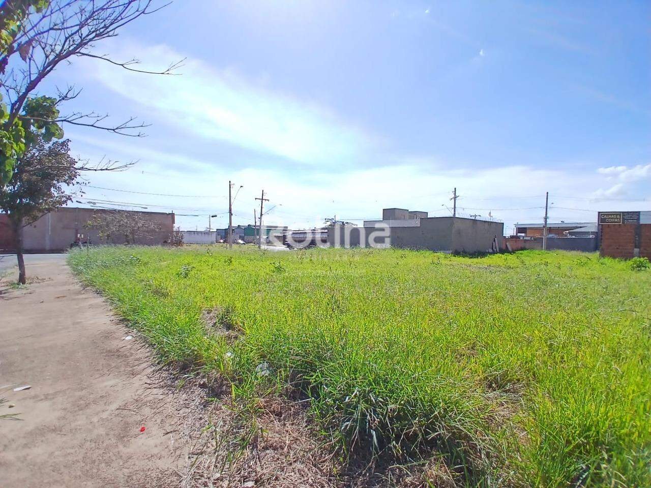 Área para alugar, em Uberlândia no bairro Minas Gerais no valor de R$ 3.000,00 - Rotina Imobiliária: 
