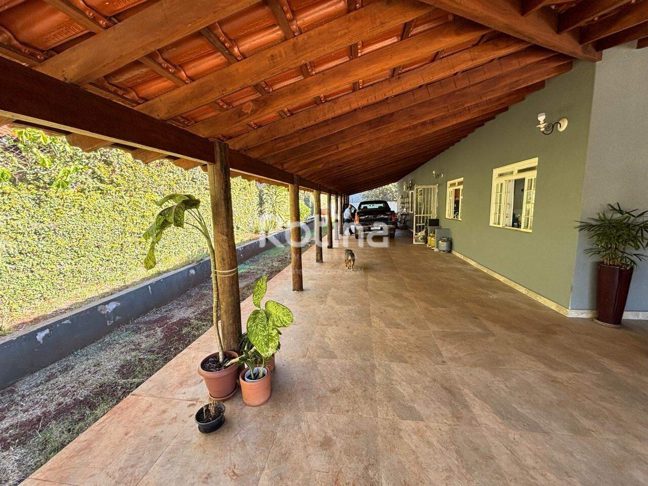 Casa para alugar, em Uberlândia no bairro Cidade Jardim no valor de R$ 11.000,00 - Rotina Imobiliária: 